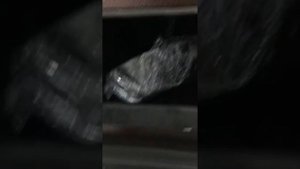 Твердотопливные котлы отопления Сибирь-Гефест пр-ва "НМК"