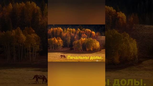 #страначитающая Максим Герасимчик читает произведение 