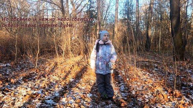 И. А. Бунин. Осень листья темной краской метит... смотреть онлайн