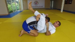 контратака на защиту от треугольника в Бразильском Джиу-Джитсу