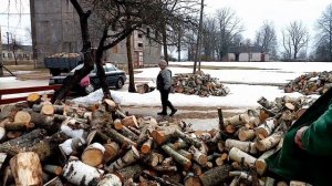 Возим дрова на тракторе Т-25.