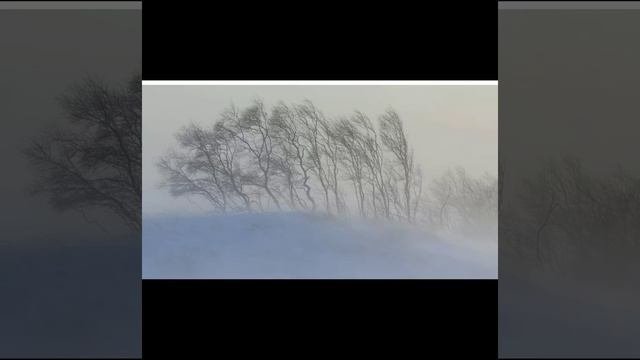 А.Дюсембиев 