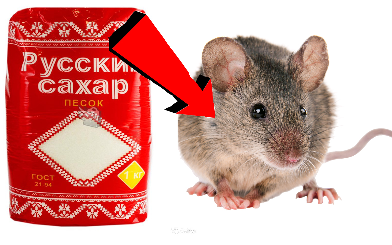 Как избавиться от мышей За 3 Секунды!