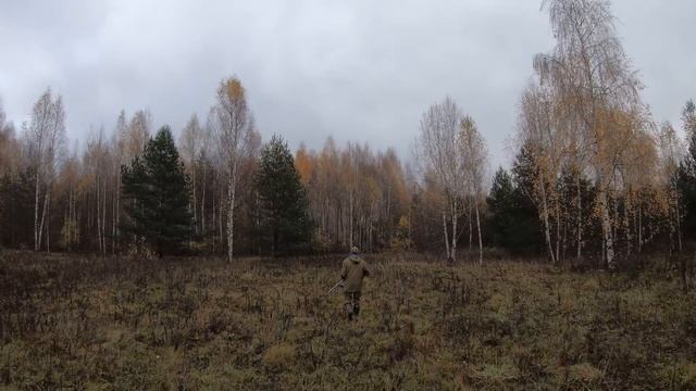 АнтиДиван - Охота и рыбалка на Волге, утка, тетерев, заяц и ванна рыбы. смотреть онлайн