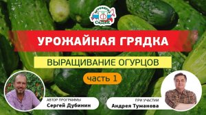 ВЫРАЩИВАНИЕ ОГУРЦОВ, часть 1