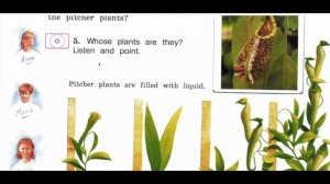 Английский язык Forward 4 класс 1 часть страница 36