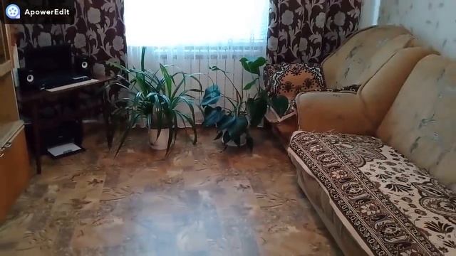 КУПИЛИ ДОМ В ДЕРЕВНЕ/НОВЫЕ ШТОРЫ И ТЮЛЬ/НАВОЖУ ПОРЯДКИ ДОМА/ПРОСТАЯ ЖИЗНЬ И СЕМЬЯ смотреть онлайн