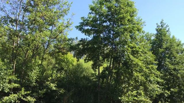 Село Славянка Саратовская область