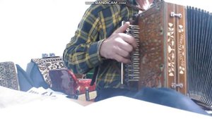 Как звучат на русской гармони молдавские мелодии).