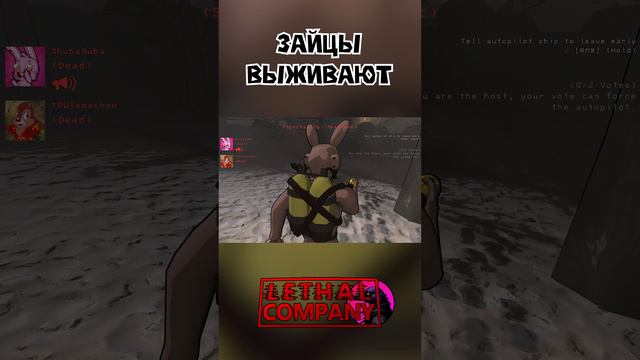 Зайчик выживет Lethal Company