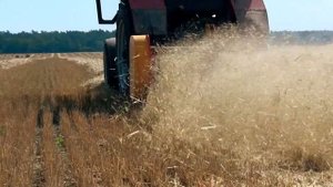 Измельчитель валков соломы УМС - 200