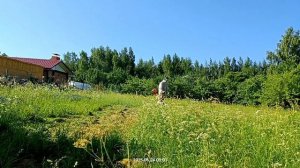 Покос травы Хускварна 545 RX