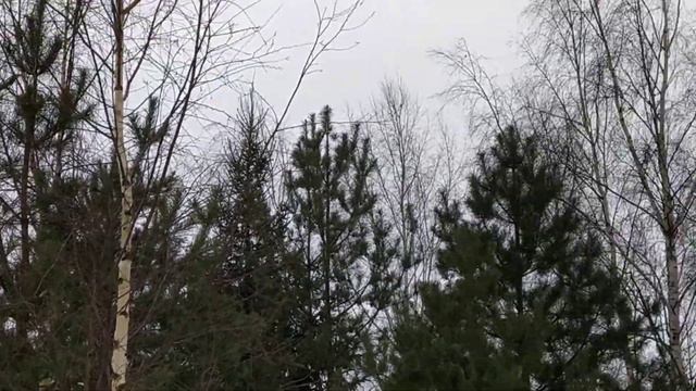 Рожденные 26 февраля #26февраля #характеристикачеловека смотреть онлайн