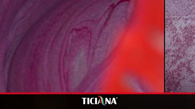 Финишная краска с кварцевым наполнителем Ticiana
