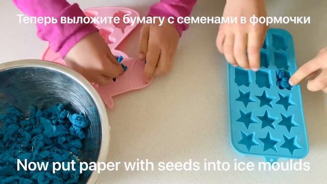 How to make paper seed bombs with kids. Как сделать бомбочки из семян и бумаги. смотреть онлайн