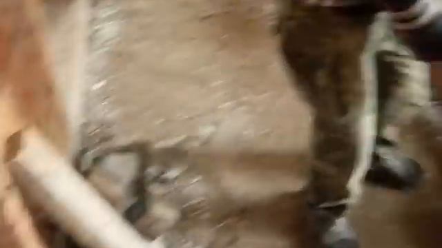 Полистиролбетонные блоки своими силами