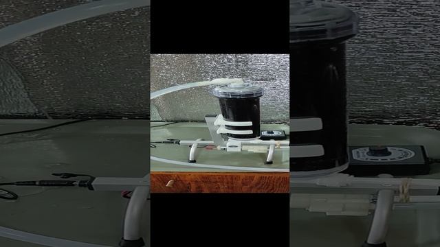 Очищение углём.