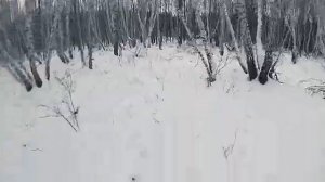 Заяц Профессор