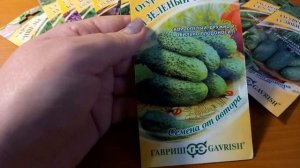 Выбрала семена огурцов для сезона 2023 года. Обзор семян огурцов "F1 Зеленый спецназ"