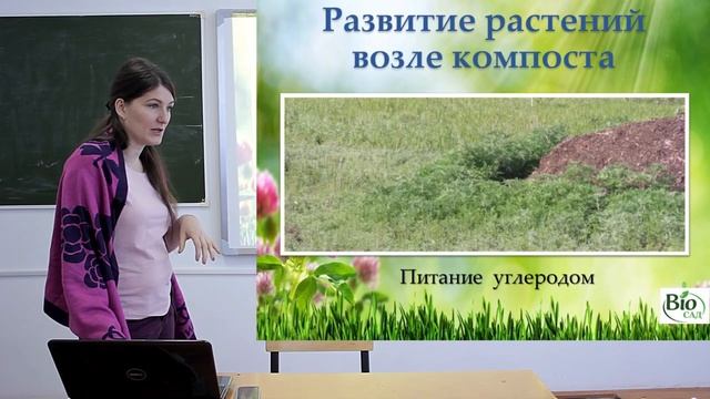 Природное земледелие на садовом участке. С чего начать?