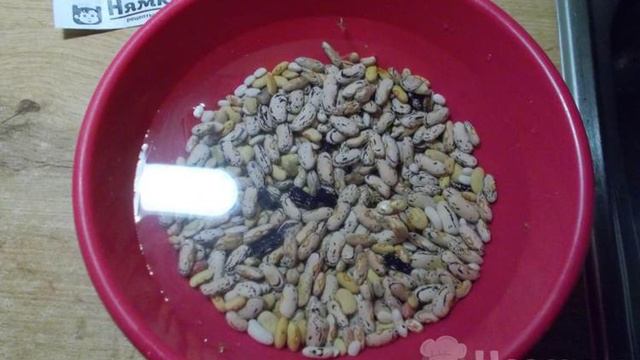 Тушеная фасоль с овощами к постному столу в мультиварке