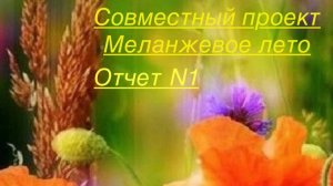 СП Меланжевое лето. Отчет 1. #меланжевоелето