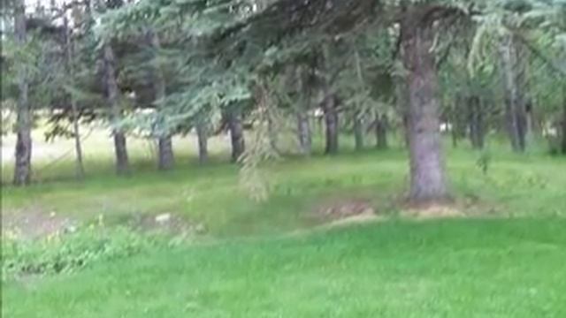 5140 Highway 27 Sundre, AB | Shirley McDonald RE/MAX