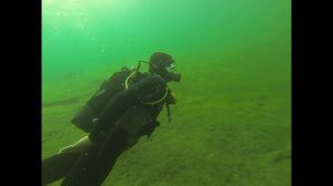 синявино, дайвинг