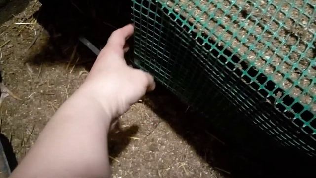 Наседка сошла с гнезда нужен совет
