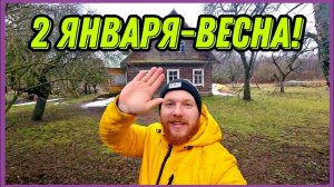 Новый год, а на улице весна. Подарок очень выручает. #хочувдеревню