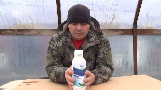 Клещ на розах? Поможет Оберон Рапид! rozapochtoi.ru смотреть онлайн