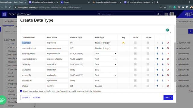 Appian CDT || Custom Data Types смотреть онлайн
