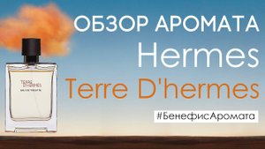 Обзор и отзывы о Hermes Terre D'hermes от Духи.рф | Бенефис аромата
