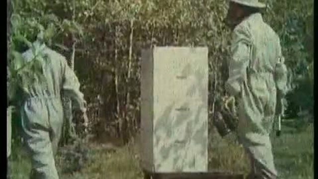 Пчеловодство в Советском Союзе 