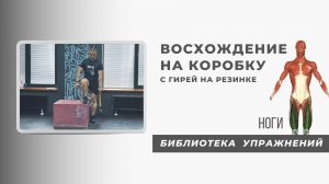 Чтобы не болели колени, нужно укреплять связки.