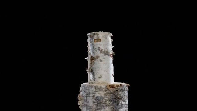 Fiskars axe film 15 sec смотреть онлайн