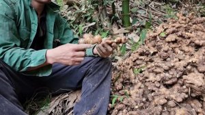 Harvest ginger and sell it for export at a high price,Build a life