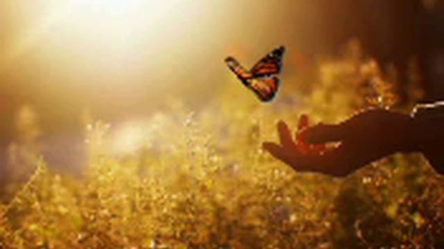 Спикерская "Ты моя тишина" Оксана Т., г. Москва смотреть онлайн