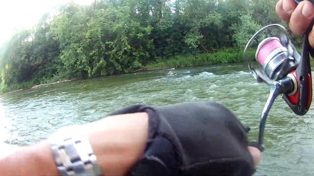 как ловить голавля на быстром течении