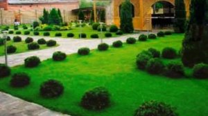 Выращивание газона как бизнес идея