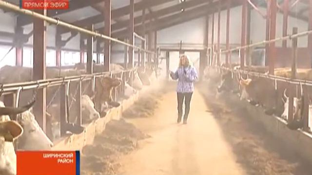 Виктор Зимин посетил животноводческий комплекс на "земле Санникова" смотреть онлайн