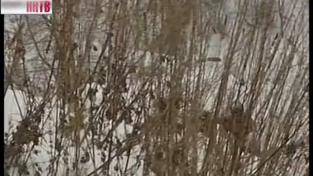 Второй этап Чемпионата Нижегородской области по зимнему мотокроссу смотреть онлайн