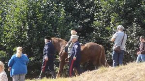 Обряд посажения на коня молодого казака