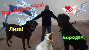 Вот Вам и Ейск.