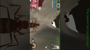 Обзор игры про муравьёв