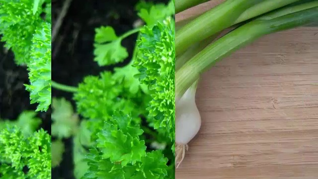 Полезная еда. Свежая зелень смотреть онлайн