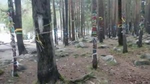 ПРОСТО СХОДИЛИ НА ИСТОЧНИК АРШАН