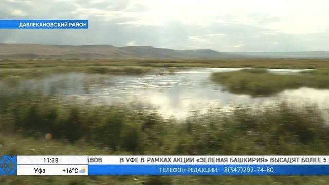 Лаборатория мониторинга климатических изменений и углеродного баланса экосистем
