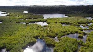 Жулановский пруд под Екатеринбургом