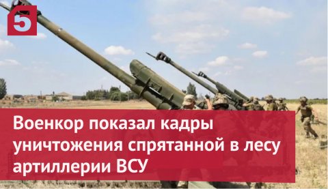 Военкор «Известий» показал кадры уничтожения спрятанной в лесу артиллерии ВСУ